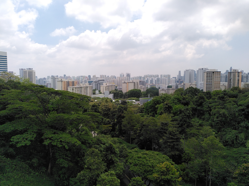 Photo of trees in the foreground and buildings in the background in Singapore.
